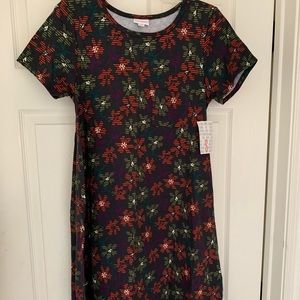 New with tags Lularoe Carly dress small